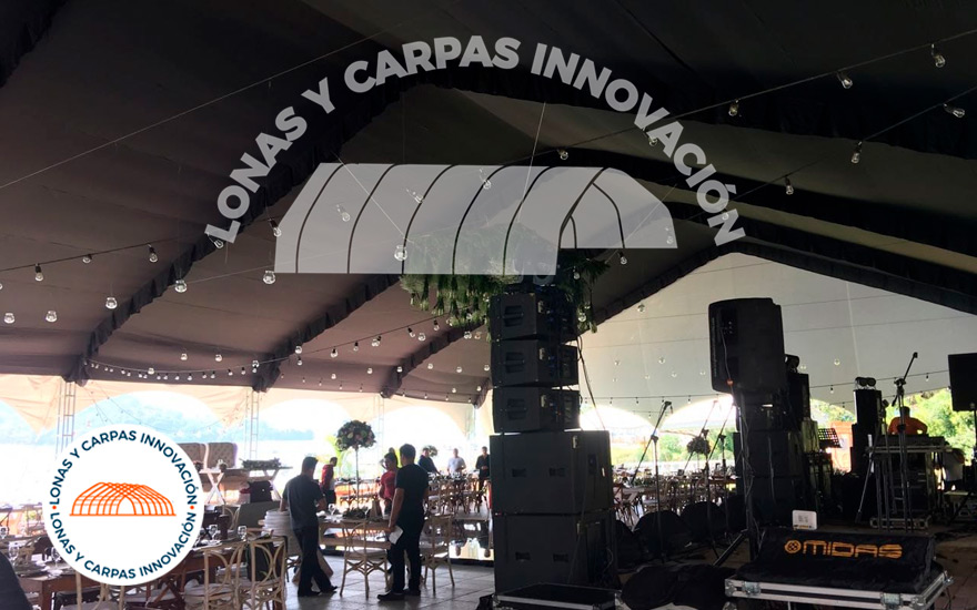 4 Razones Para Elegir Carpas Negras